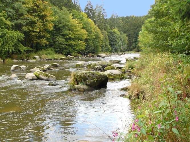 přírodní rezervace Stvořidla