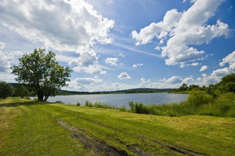 přírodní rezervace Velký rybník