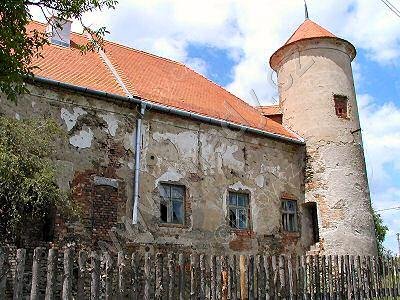 Ptení