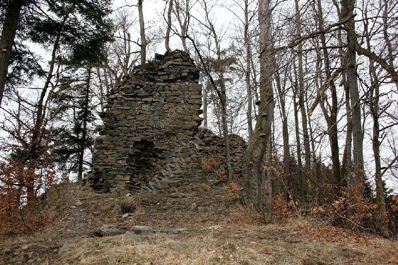 Puchart