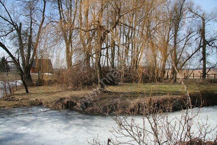 Radíkovice