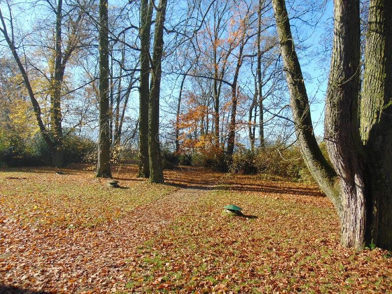 Rájec nad Svitavou