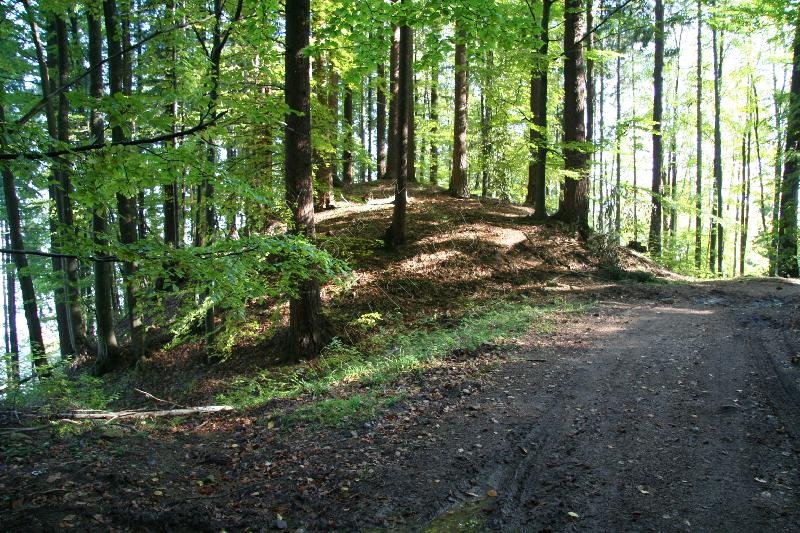 Raubeschloss