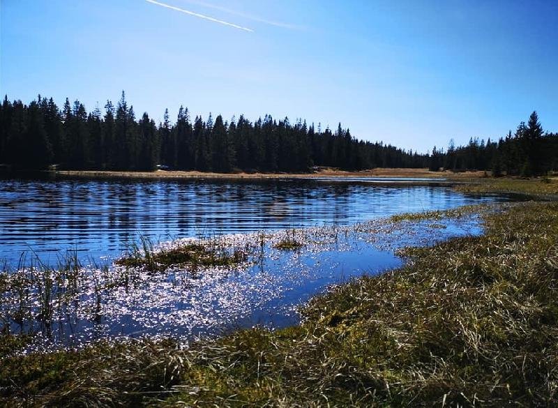 Rolavská vrchoviště