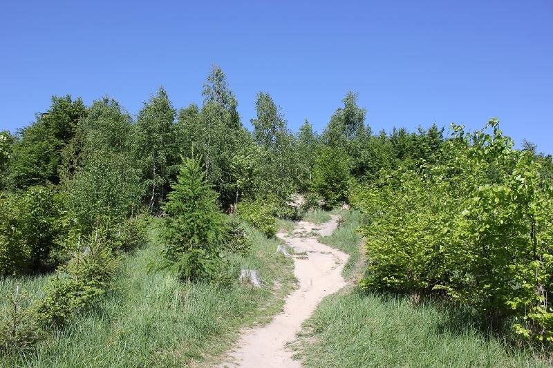 Roštín I