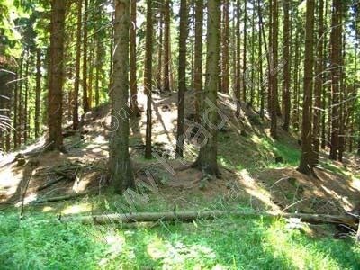 Rousínovský hrádek