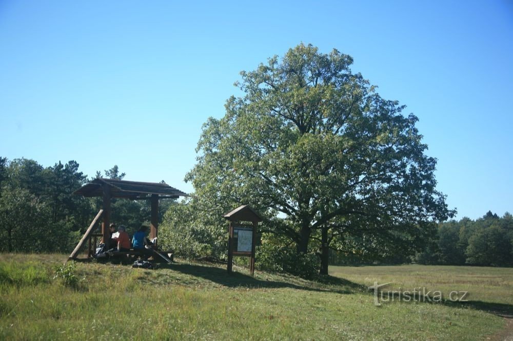 rozcestí na Biskoupský kopec