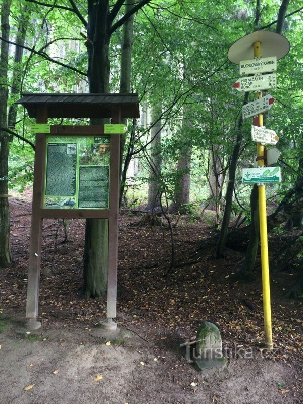 rozcestí pod Buchlovským kamenem