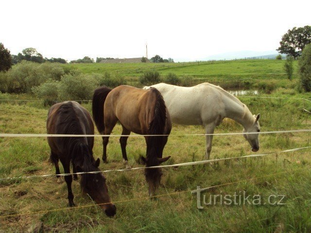 Rumburk - město ve Šluknovském výběžku