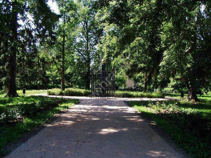 Růžový palouček