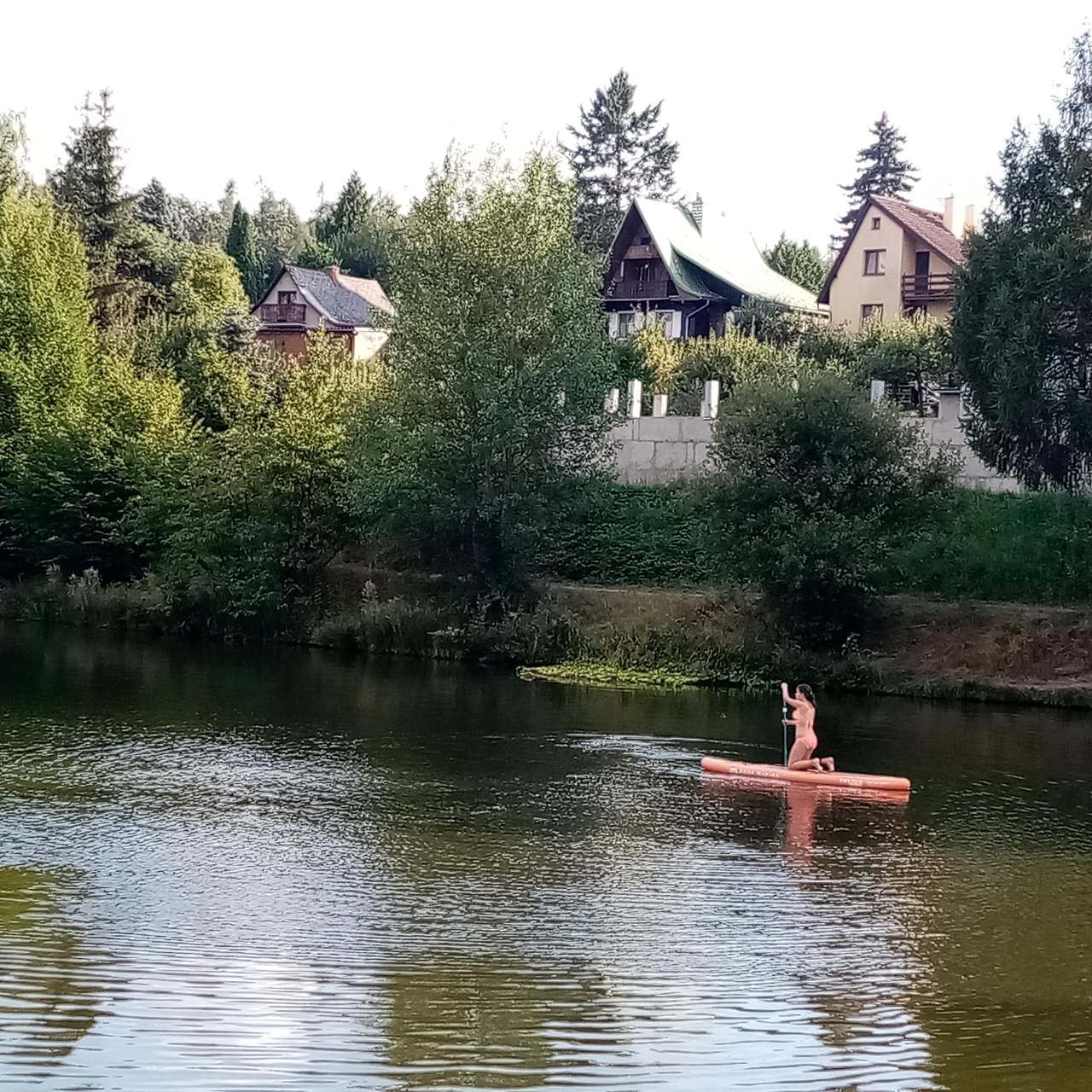 Rybník 1,6 ha