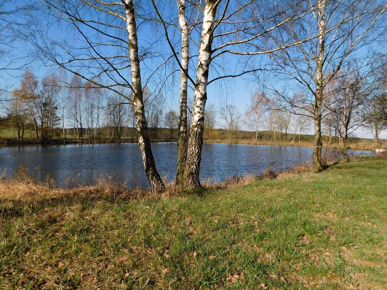 Rybník , cca 2km  od objektu možnost rybaření.