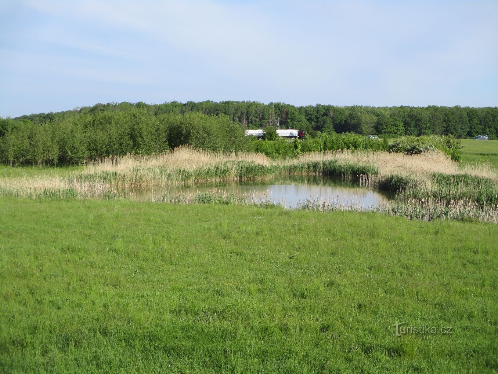 Rybník na Malostranském potoce (Výrava, 22.5.2020)