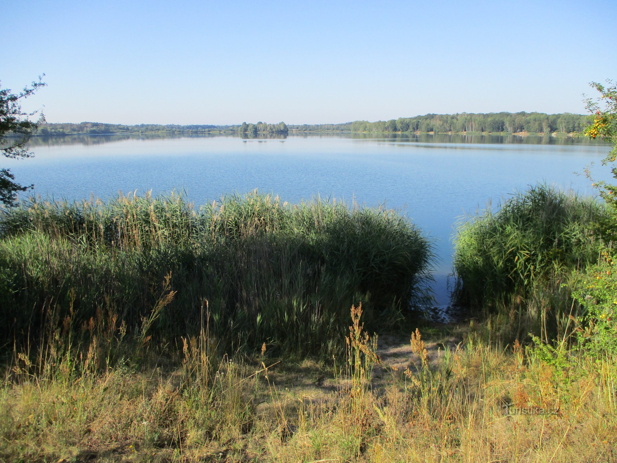 Rybník Oplatil I (Staré Ždánice)