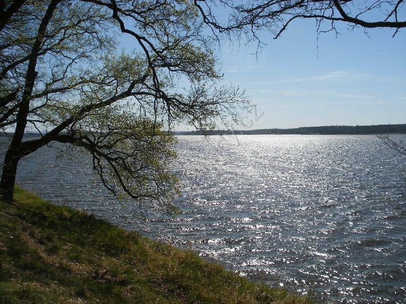 rybník Rožmberk