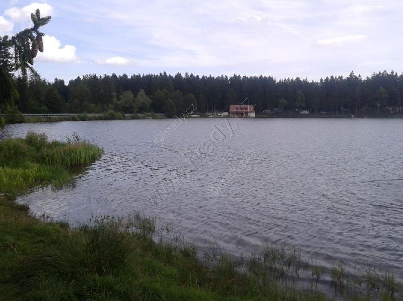 rybník Sykovec