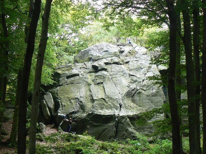 Salesiova výšina
