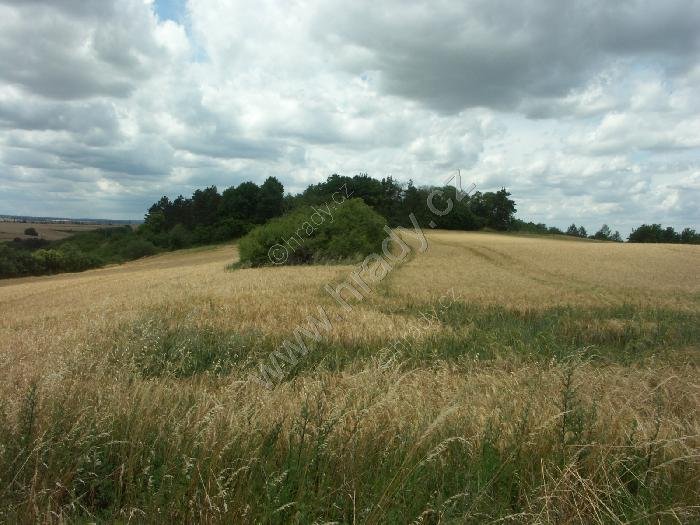 Šance