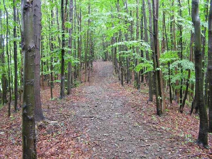 šance Dolní Lomná