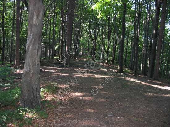Šaumburk