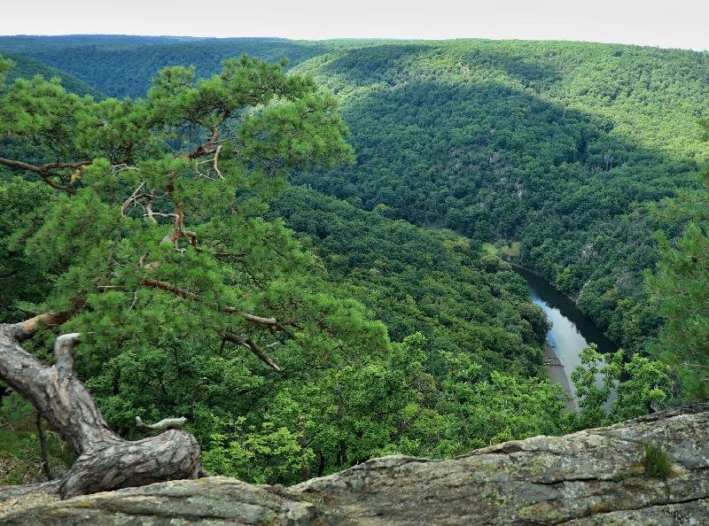 Sealsfieldův kámen