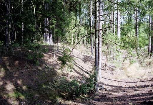 Šebíkov