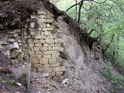 Šebín