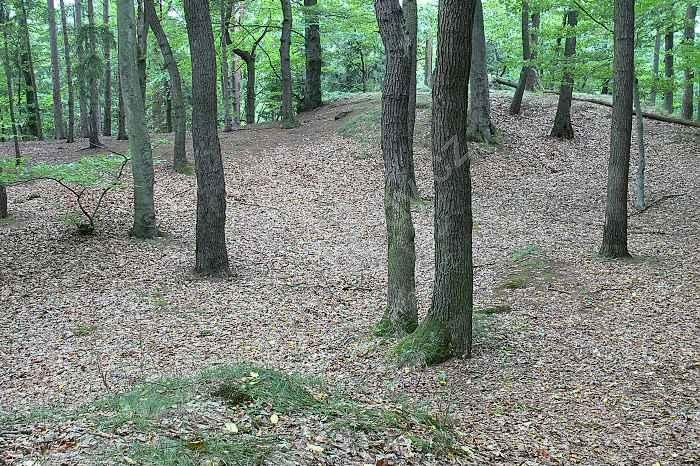 Šember