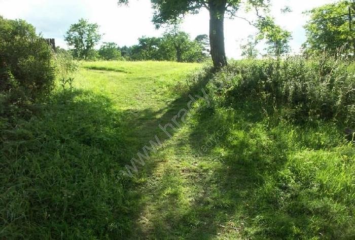 Šipín