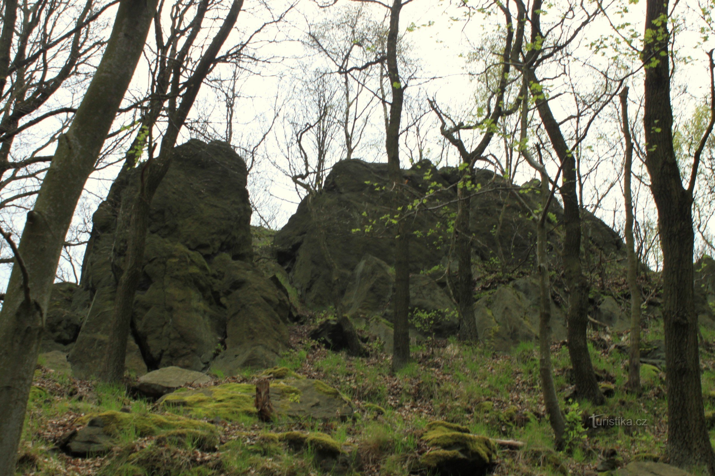 Skála ve tvaru ležícího zajice