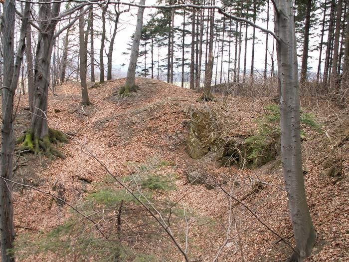Skalický lom