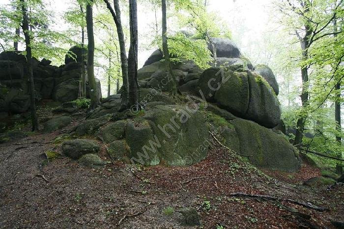 Skalní hrad