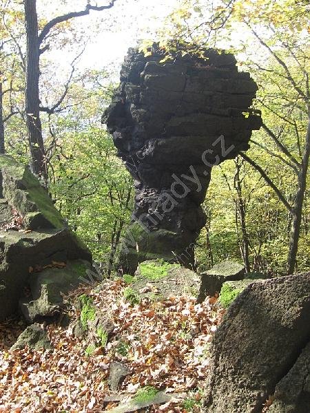 Skalní hřib, Magnetovec