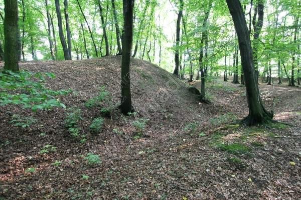 Skara (hrad u Úval, Hostyně)