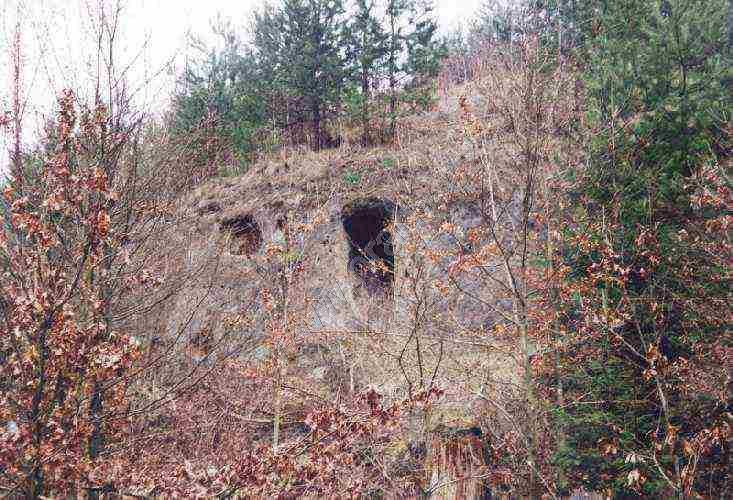 Šlapka