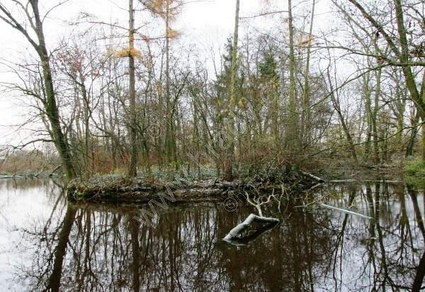 Slivínko