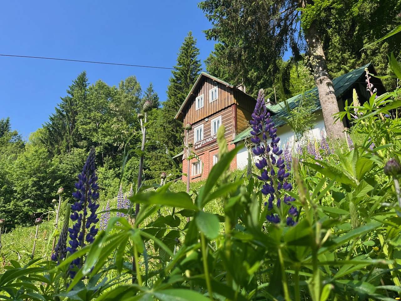 Slunečná v Krkonoších