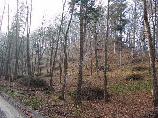 Smilův hrad
