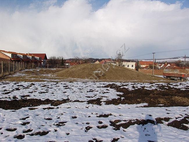 Sokolnice