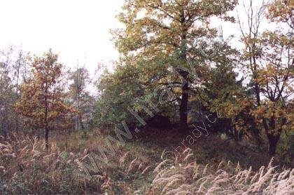 Šprymberk
