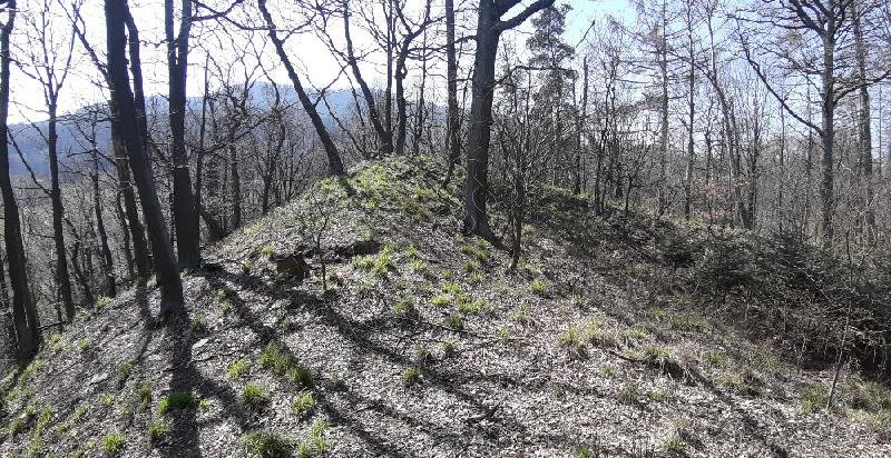 Srdov