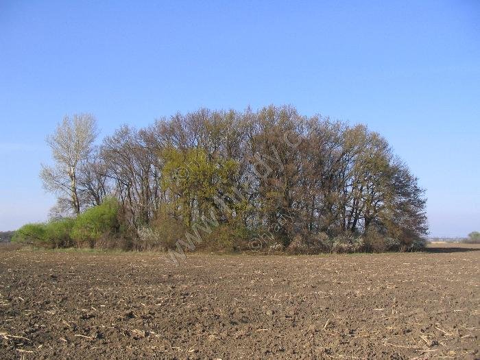 Stará Břeclav