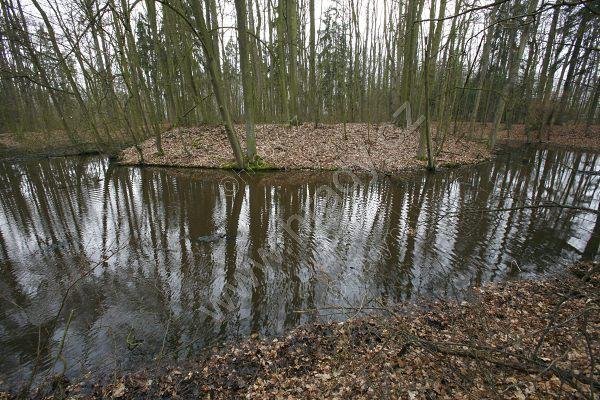 Staré Machovice