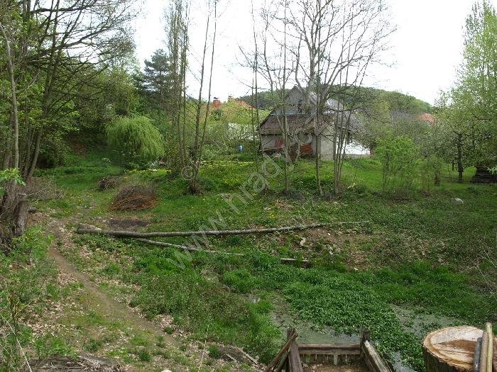 Staré Mitrovice