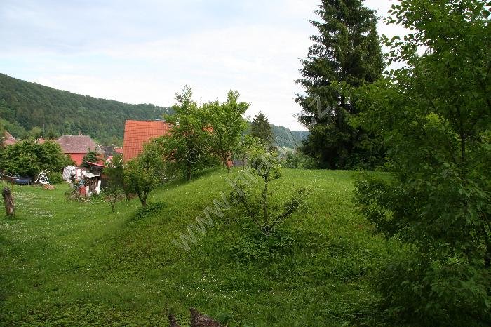 Stárkov