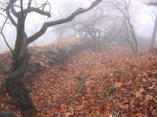 Starý Žeberk