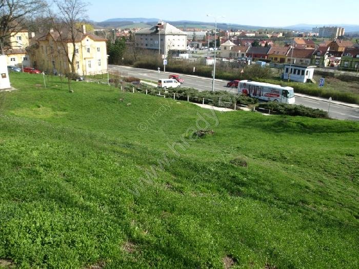 starý židovský hřbitov