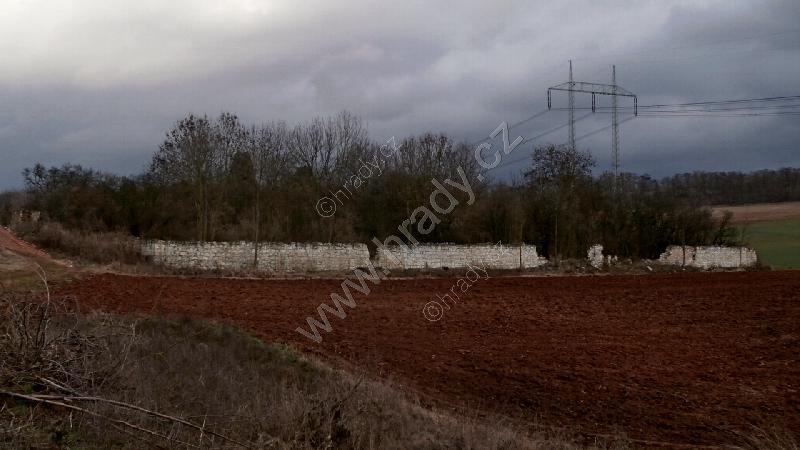 starý židovský hřbitov