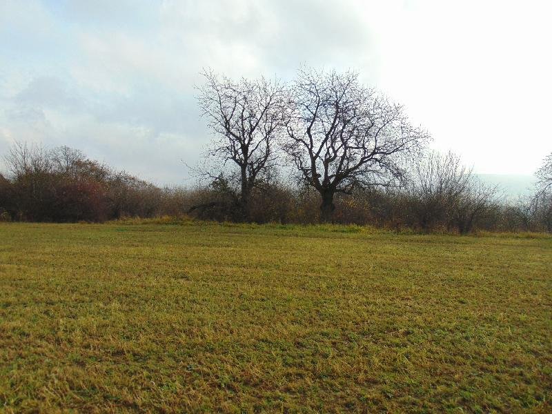 Štítná nad Vláří