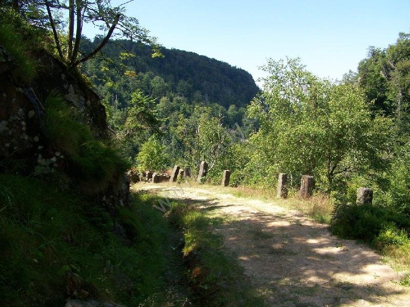 Štolpišská silnice